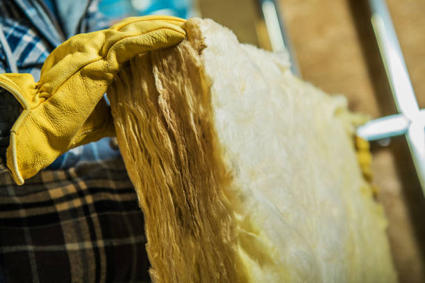 Best Cellulose Insulation in Oberlin, OH